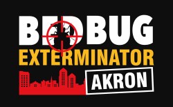 Bed Bug Exterminator Akron
